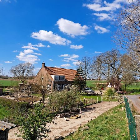 “In Oans Oefje” Parel In De Polder! Apartment Lewedorp Luaran gambar