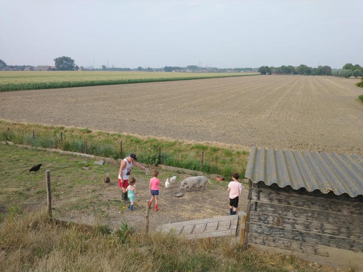 “In Oans Oefje” Parel In De Polder! Apartment Lewedorp Luaran gambar