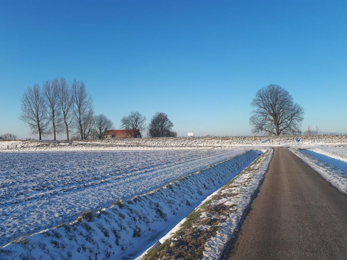 “In Oans Oefje” Parel In De Polder! Apartment Lewedorp Luaran gambar