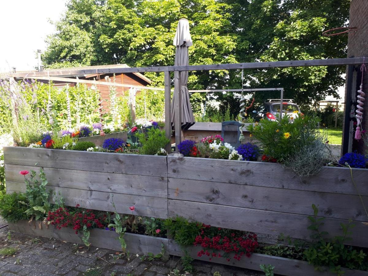 “In Oans Oefje” Parel In De Polder! Apartment Lewedorp Luaran gambar