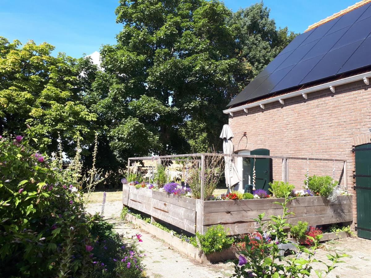 “In Oans Oefje” Parel In De Polder! Apartment Lewedorp Luaran gambar