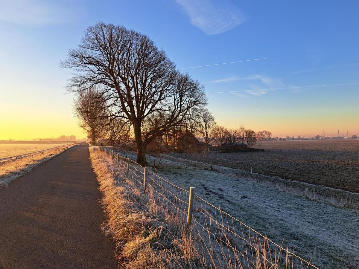 “In Oans Oefje” Parel In De Polder! Apartment Lewedorp Luaran gambar
